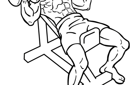 436x272 Dumbbells Equipment Everkinetic