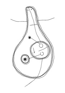 211x300 Dummy Drawings