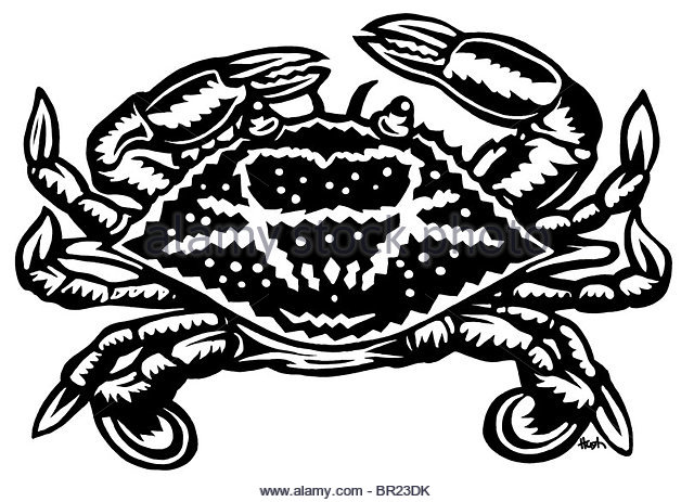 640x463 Crab Drawing Stock Photos Amp Crab Drawing Stock Images