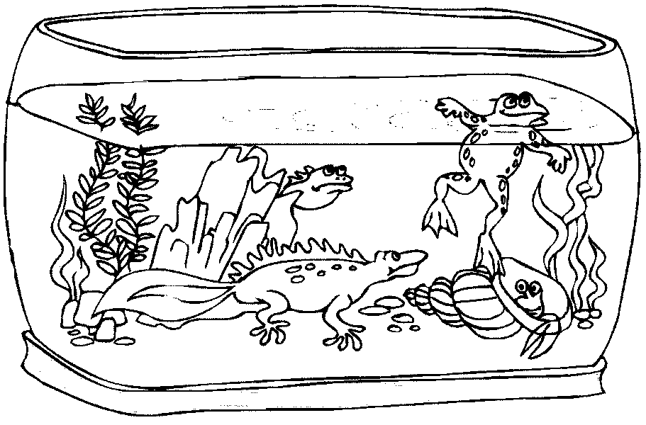 911x600 Printable Fish Tank Coloring Pages Coloring Page For Kids