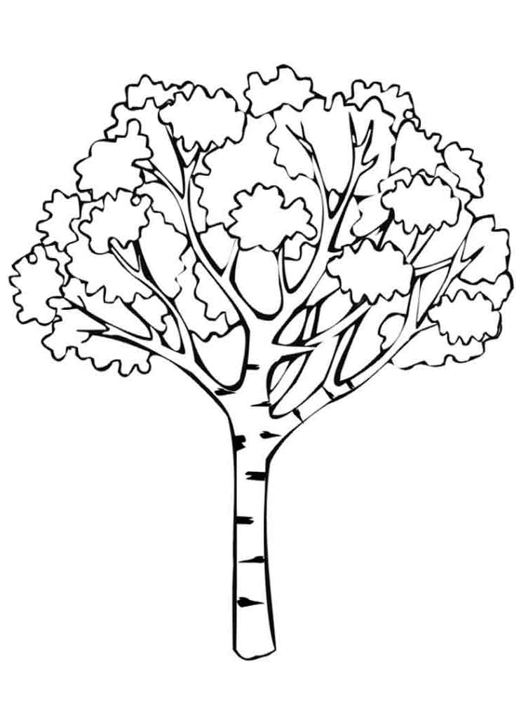 750x1000 Durian Tree Coloring Pages