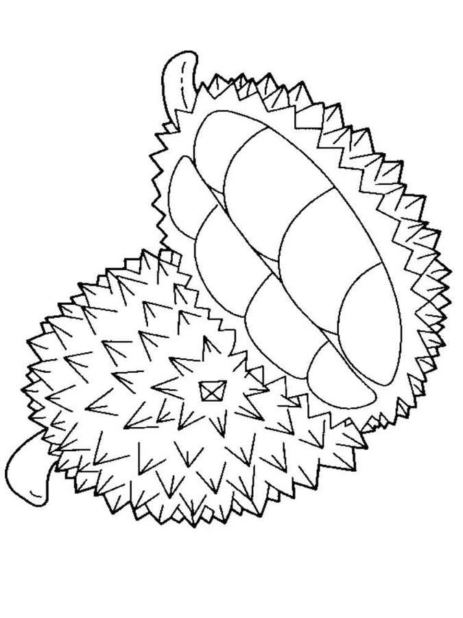 675x900 Coloring Pages Durian, Printable For Kids Amp Adults, Free To Download