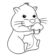 230x230 Top 25 Free Printable Hamster Coloring Pages Online School, Pet