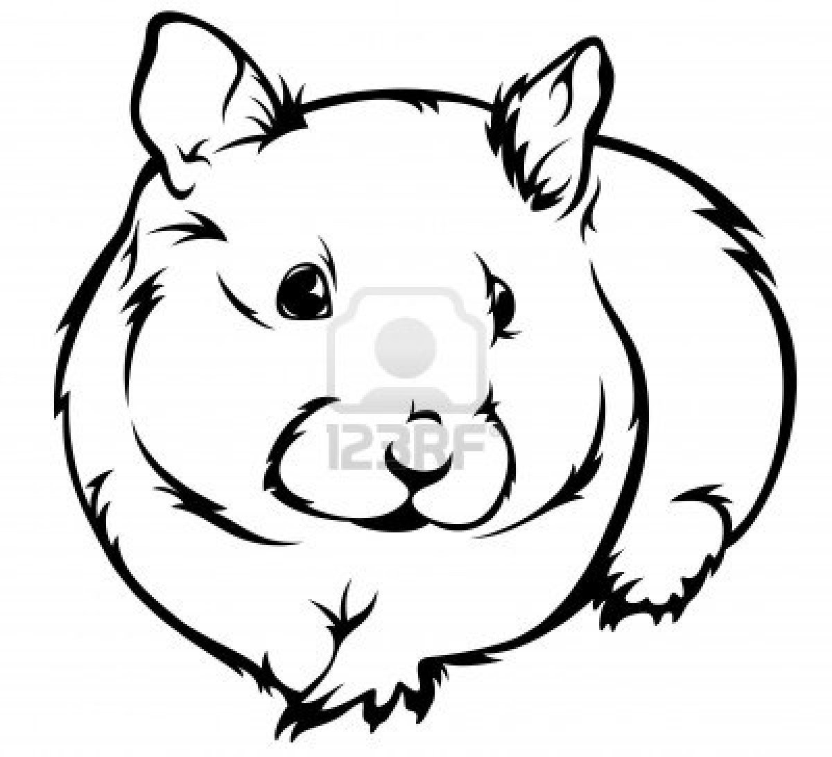1200x1092 Hamster Drawing