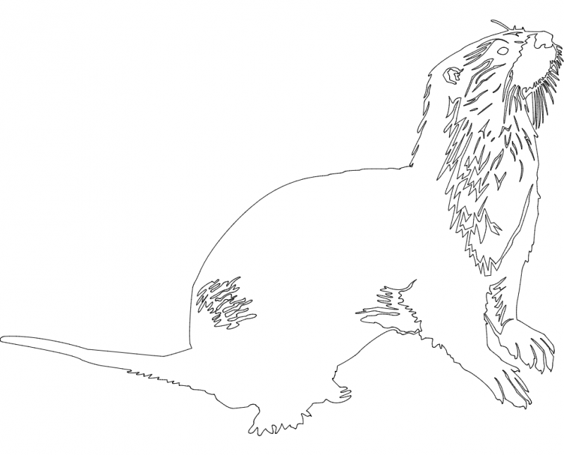 800x645 Animals 2.38 Dxf File Free Download