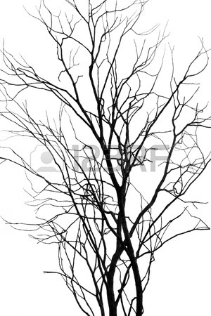 300x450 Dying Tree Silhouette Stock Photo, Picture And Royalty Free Image