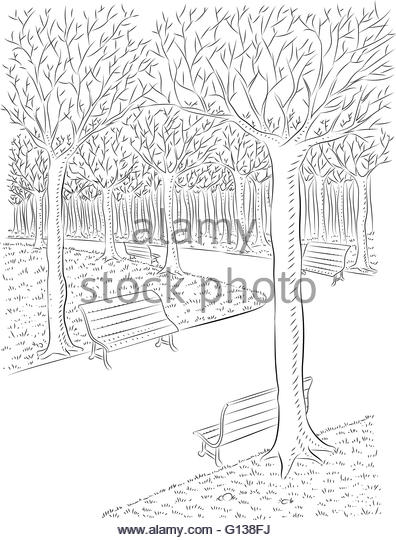 396x540 Tree Line Drawing Stock Photos Amp Tree Line Drawing Stock Images
