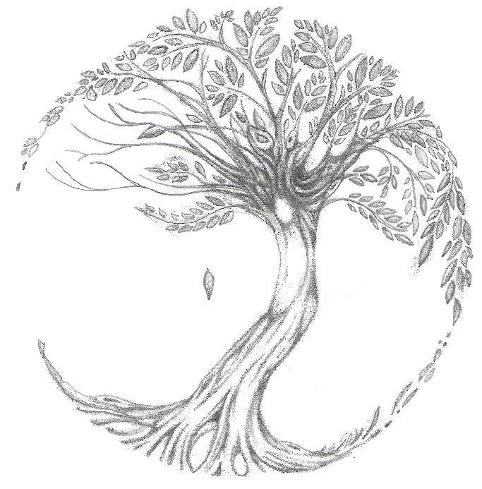 683x693 Celtic Ash Tree Tattoos Inspiration Image