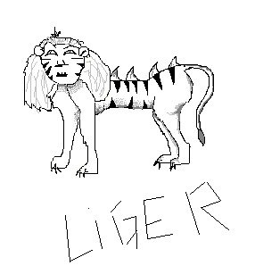 286x307 Liger Napoleon Dynamite By Mastertygan