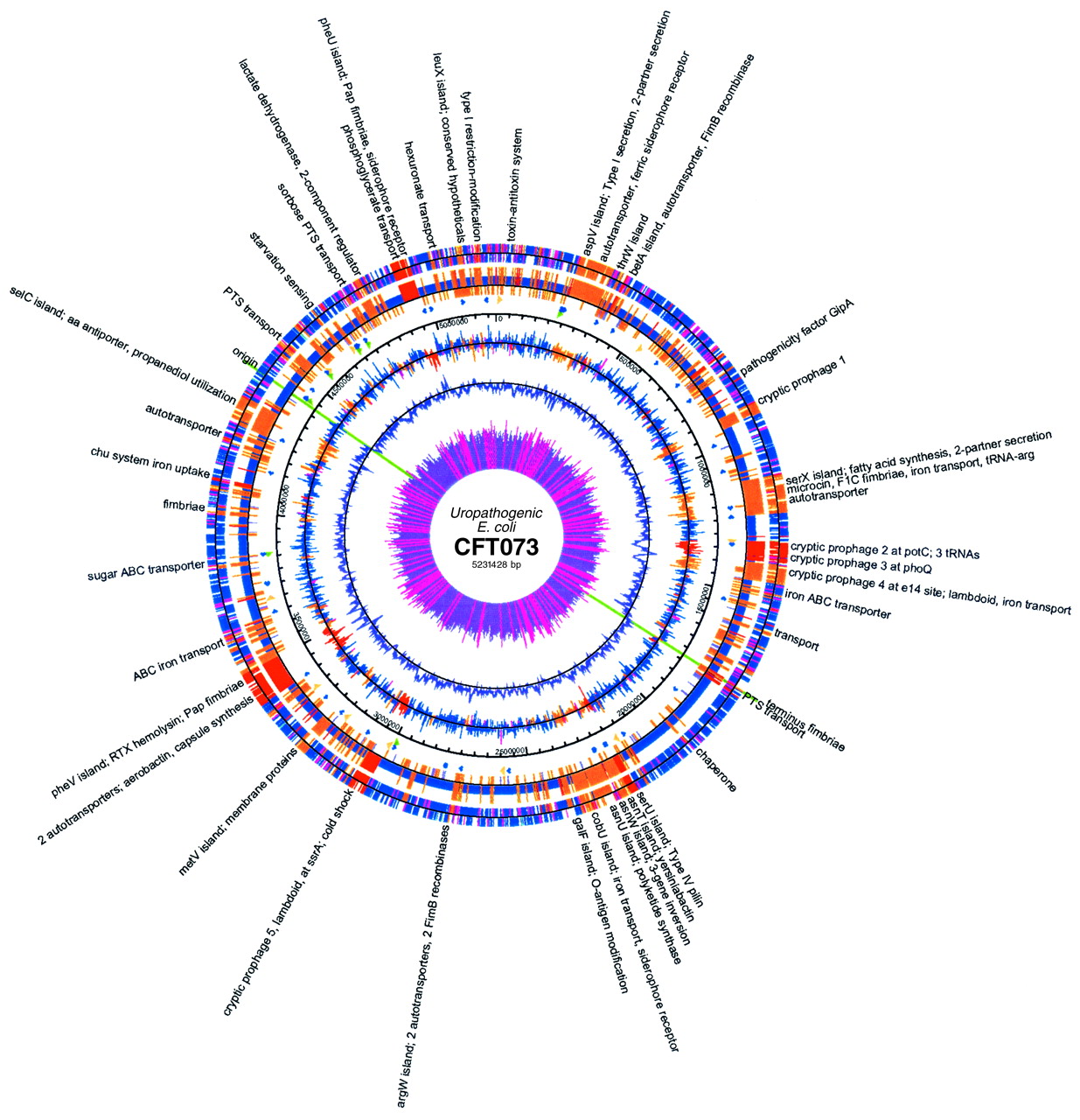 1235x1280 Extensive Mosaic Structure Revealed By The Complete Genome