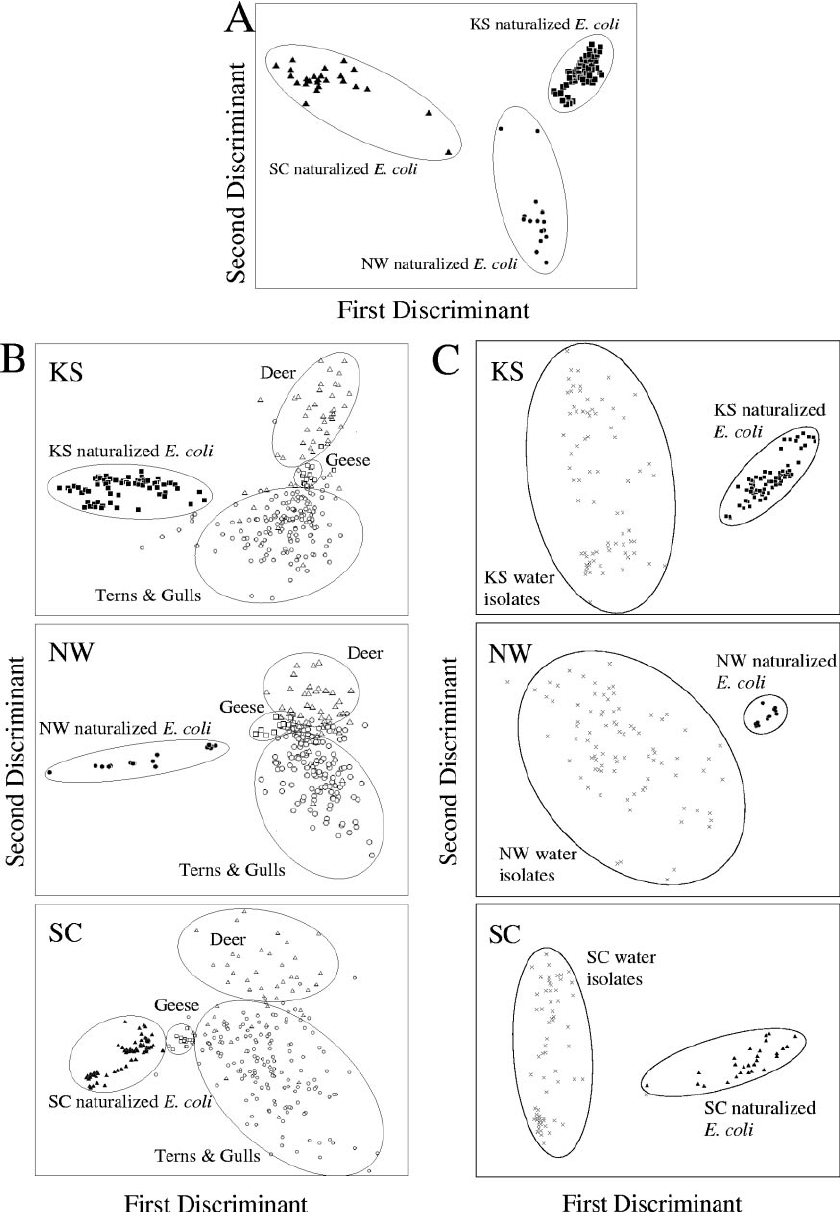 840x1212 Manova Of Hferp Dna Fingerprints From E. Coli Strains. The First