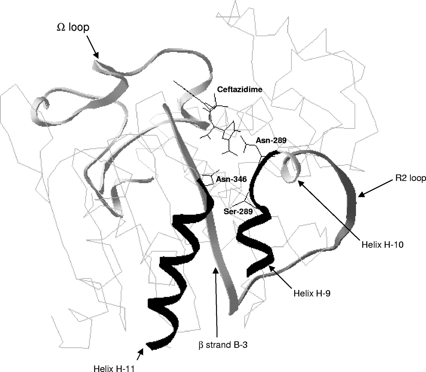1800x1573 Role Of The Ser 287 Asn Replacement In The Hydrolysis Spectrum