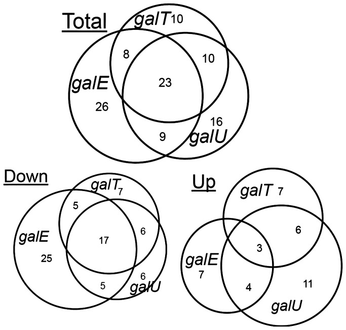 683x651 Significantly Altered Metabolites In Different E. Coli Strains