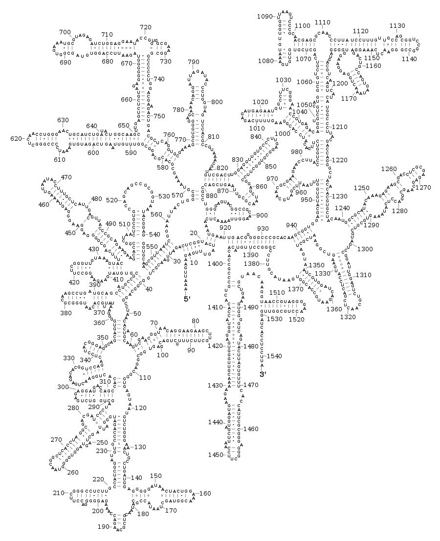 900x1107 Xrna Gallery