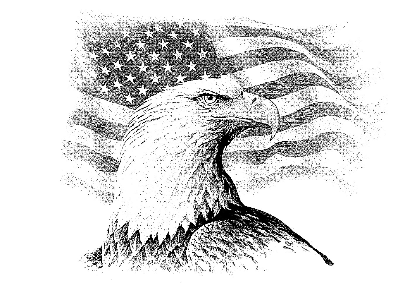 1344x1008 Eagle Drawings We Have Hundred Of Other Images From Which