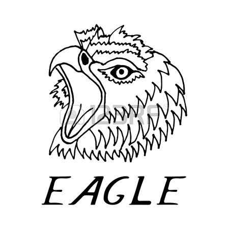 450x450 Hand Draw Eagle's Head In The Style Of The Sketch, On Black