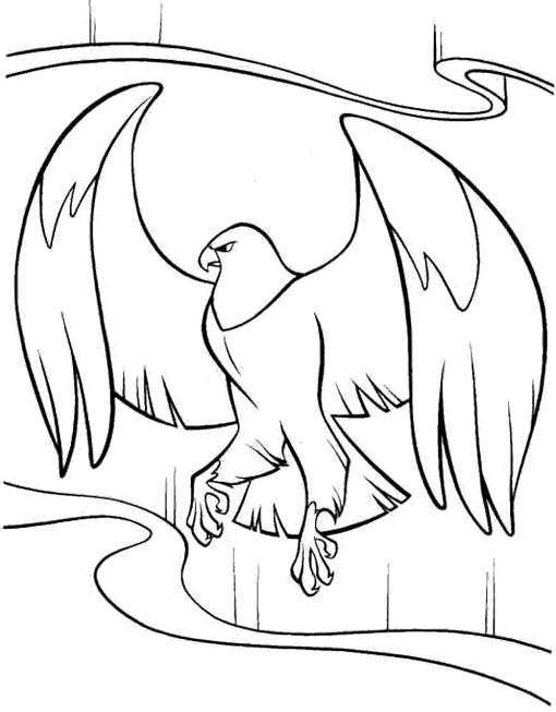 510x653 Cartoon Eagle Coloring Pages Colouring
