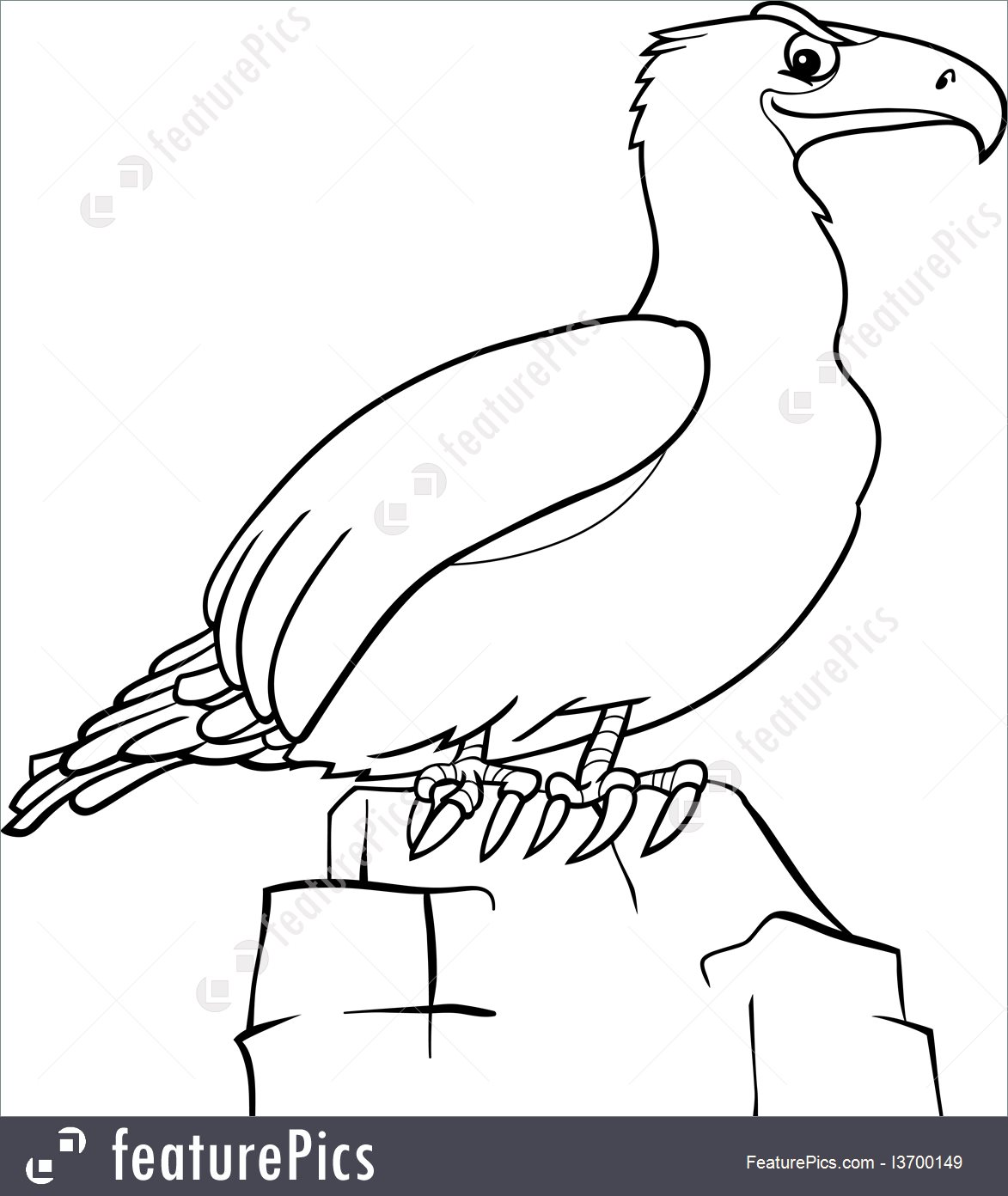1173x1392 Illustration Of Cartoon Eagle For Coloring Book