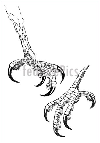 350x500 Eagle Talon, Vector