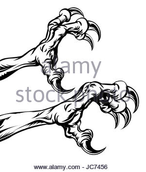300x354 An Eagle Bird Talon Or Claw Illustration Stock Photo 128135044