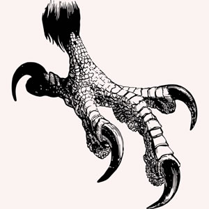 300x300 Eagle Claw Hand Strengthening Liniment Internal Arts International