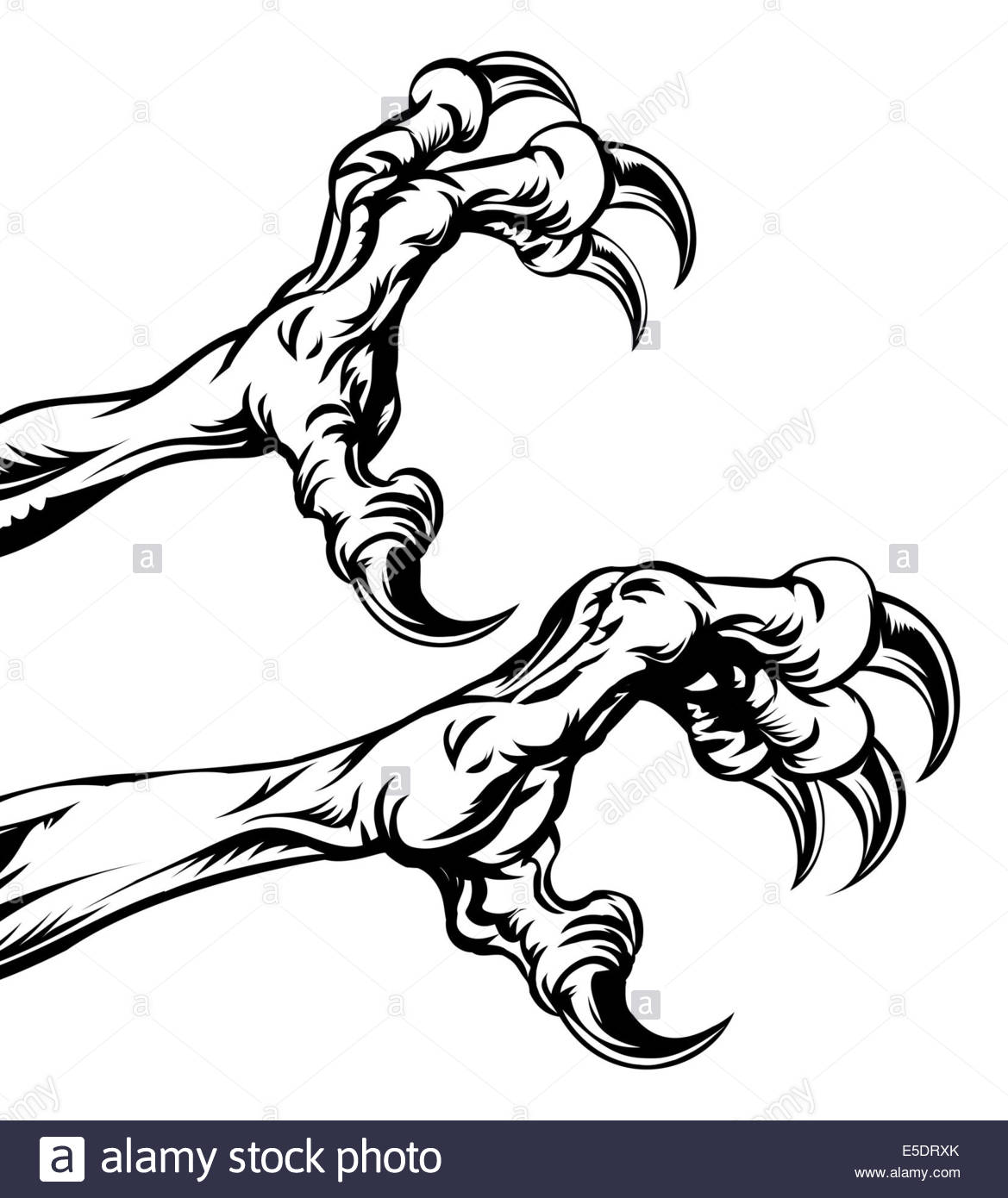 1169x1390 An Illustration Of Eagle Or Monster Animal Claws Or Talons Stock