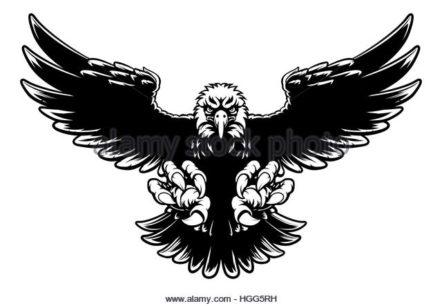 640x443 Bald Eagle Black And White Stock Photos Amp Images