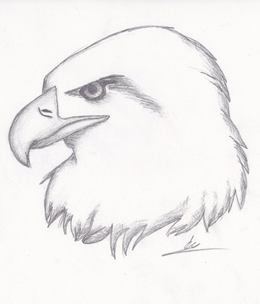873x1024 Realistic Eagle Drawing Realistic Eagle Sketch Nightkitsune9