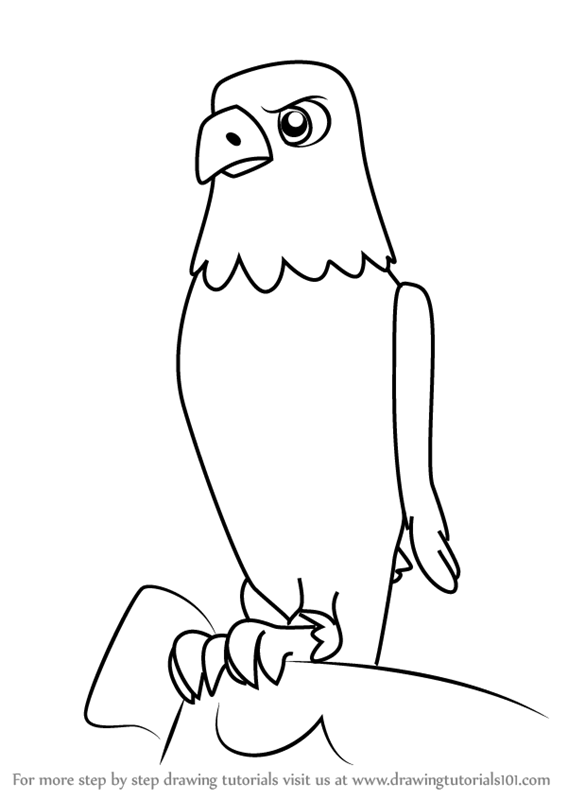 567x800 Learn How To Draw The Eagle From Paw Patrol (Paw Patrol) Step By