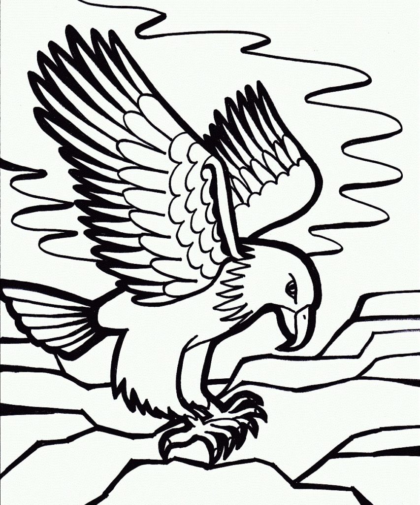 853x1024 Best Of Photograph Of Eagle Coloring Pages