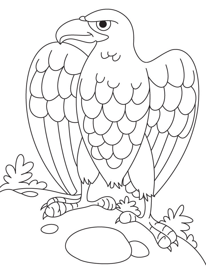720x955 Cartoon Eagle Coloring Pages Coloring Page