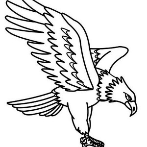 300x300 Online Free Coloring Pages For Kids