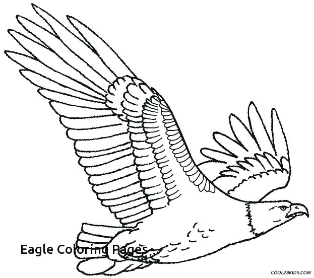 623x552 Eagle Color Page