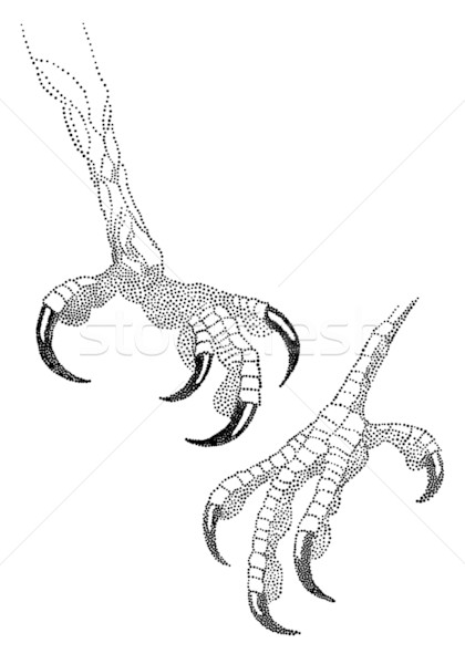 420x600 Drawn Eagle Eagle Talon