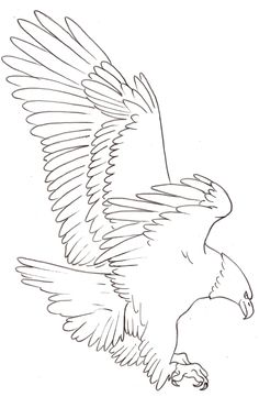236x361 Eagle Outline Clip Art At Clker Com Vector Clip Art Online Royalty