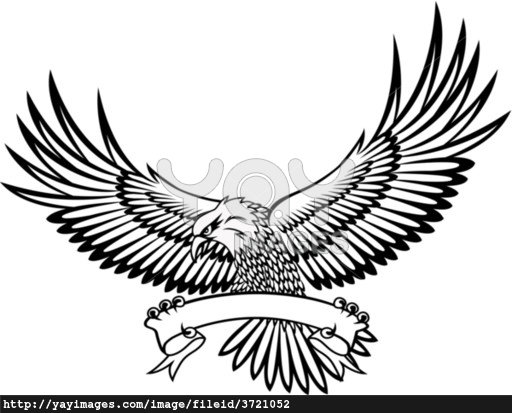 512x413 Gallery American Eagle Drawings,
