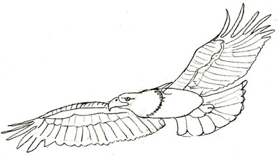 400x223 How To Draw Eagles Bald Eagle Pencil Drawing, Step 5 Crafts