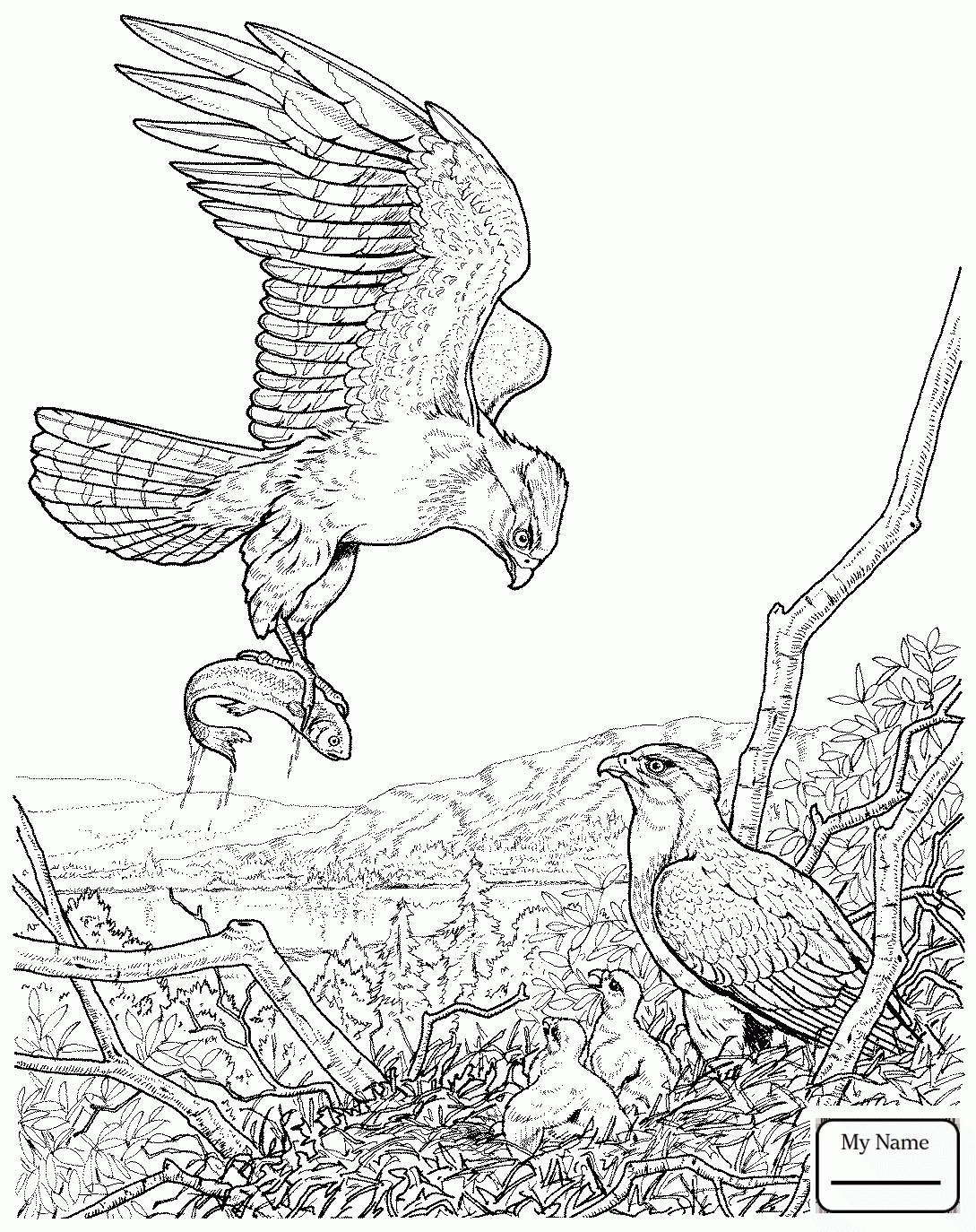 1089x1374 Bald Eagle Bird Coloring Pages Wild Eagle Coloring Pages