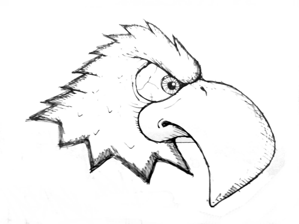 1024x768 How To Draw An Eagle How To Draw An Eagle Step Step Drawing