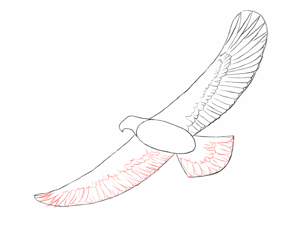 1024x768 Simple Eagle Drawing How To Draw An Eagle Draw Central
