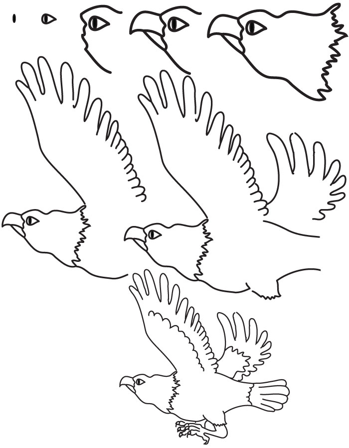 700x900 Drawing Eagle