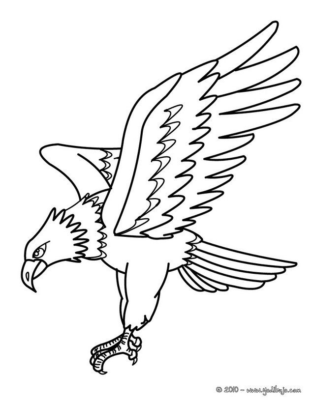 634x820 Drawn Eagle Easy Draw