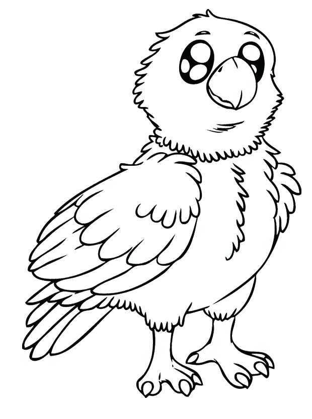 620x834 Eagle Color Page Simple Eagle Standing Coloring Page Free