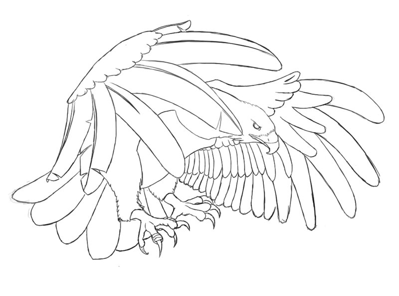 800x593 Eagle Tattoo By Paperori