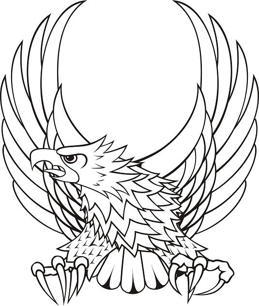 535x632 Flying Black Eagle Tattoo Design