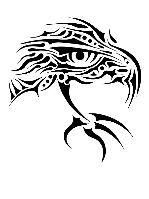 Eagle Eye Drawing at GetDrawings | Free download