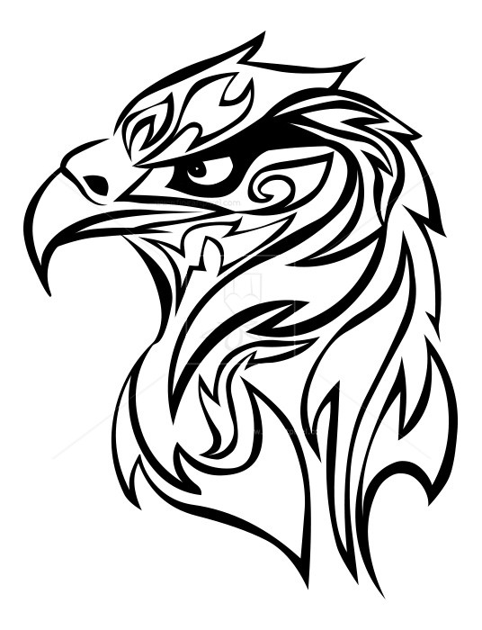 536x700 Eagle Face Free Vectors, Illustrations, Graphics, Clipart, Png