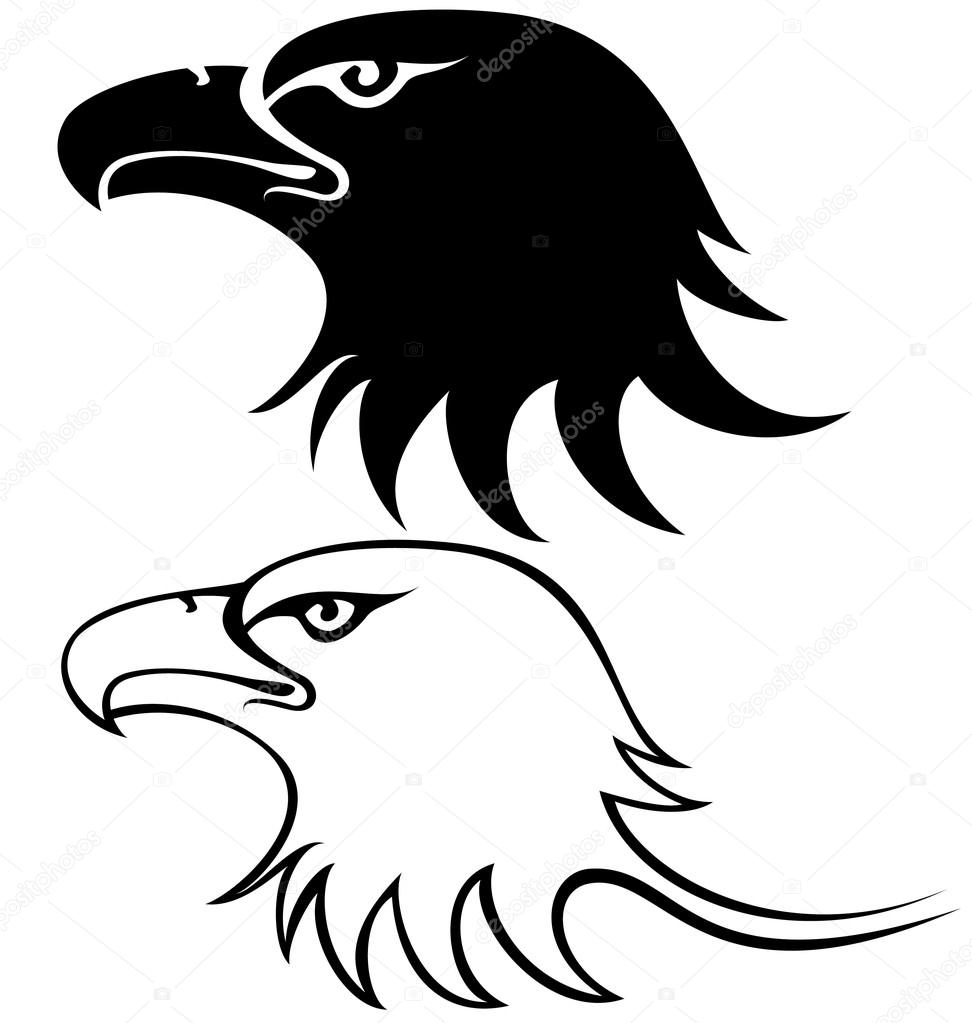 972x1023 Eagle Face Stock Vector Silverrose1