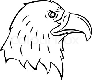 320x277 Illustration Of A Side Face Eagle Head Stock Vector Colourbox