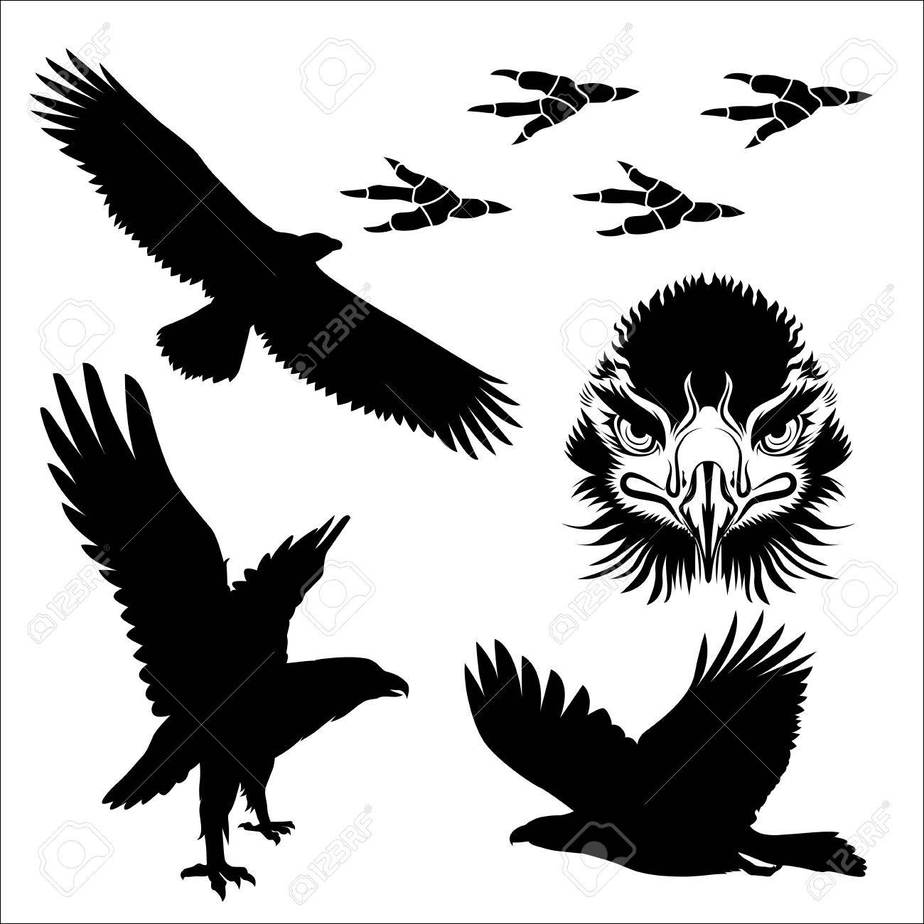 1300x1300 Poses Of Eagle And Closed Up Drawing Face Silhouette Vector